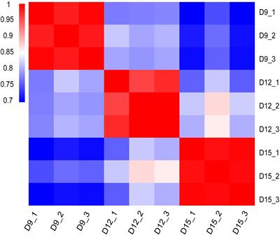 Global Transcriptomic Analyses Reveal Genes Involved in Conceptus Development During the Implantation Stages in Pigs